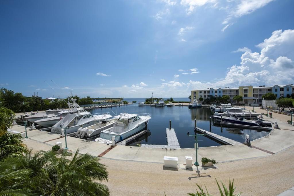 Licensed Mgr - Luxury Vip Penthouse Suite - Offers Resorts Best Panoramic Ocean Views! Key Largo Kültér fotó